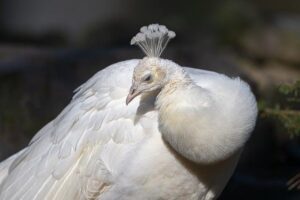 Top Fashion Moments: Best Dressed Celebrities at Recent Awards